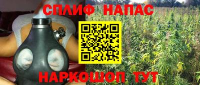 a pvp Жуковский