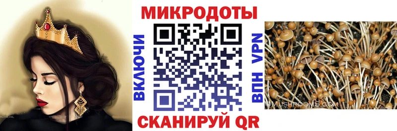 Псилоцибиновые грибы Cubensis  Бирск 