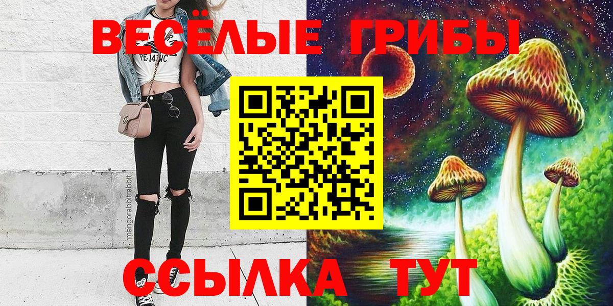 Галлюциногенные грибы GOLDEN TEACHER  Псилоцибиновые грибы MAGIC MUSHROOMS  Вход с VPN  Бирск 